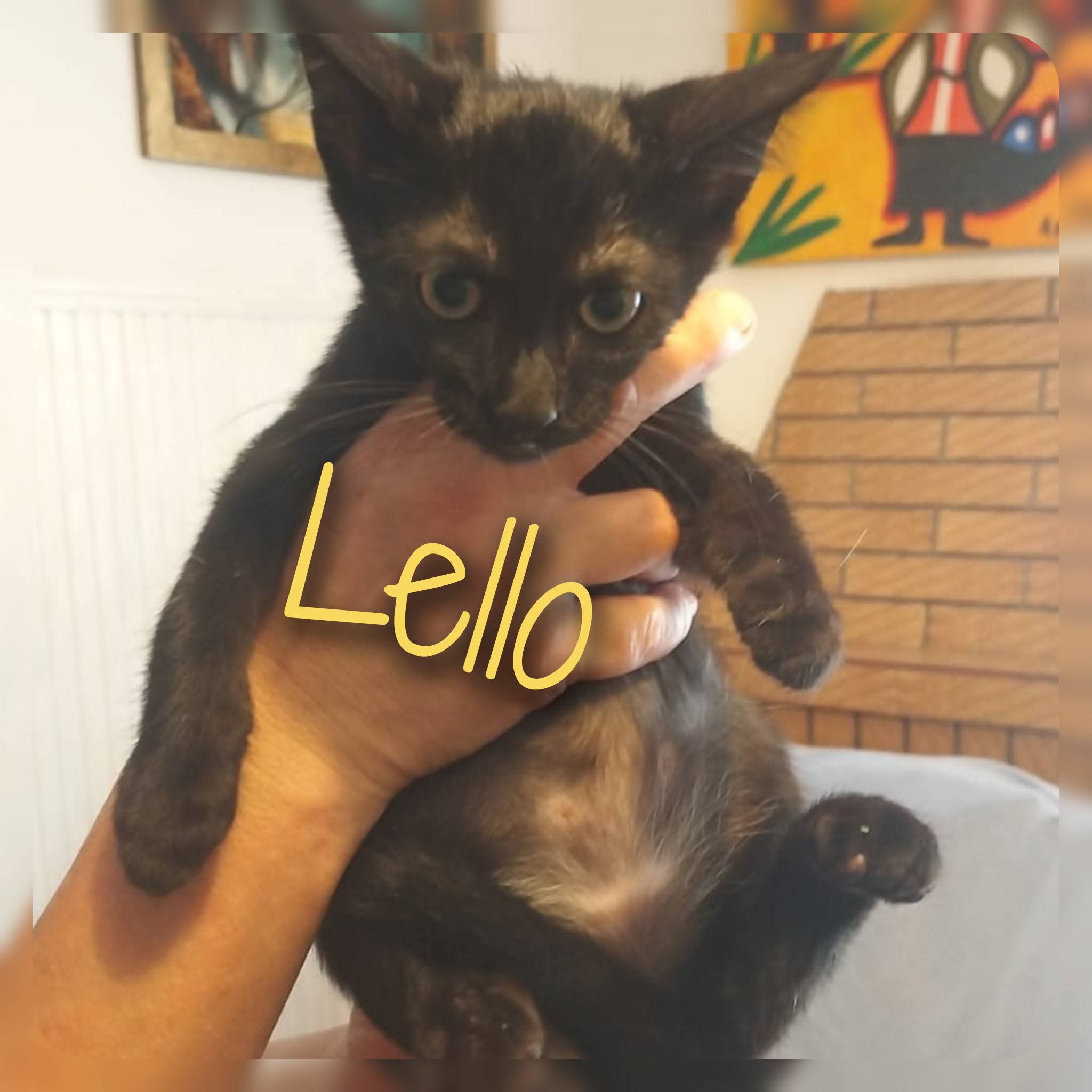 LELLO
